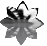 Website development and marketing service icon